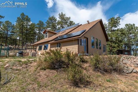 Tiny photo for 3153 Homestake Place, Florissant, CO 80816 (MLS # 3678093)