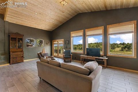 Tiny photo for 3153 Homestake Place, Florissant, CO 80816 (MLS # 3678093)