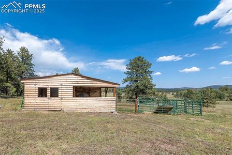 Tiny photo for 3153 Homestake Place, Florissant, CO 80816 (MLS # 3678093)