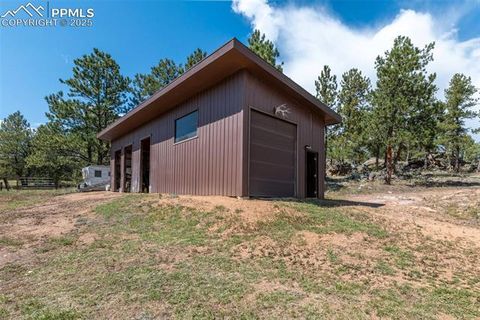 Tiny photo for 3153 Homestake Place, Florissant, CO 80816 (MLS # 3678093)