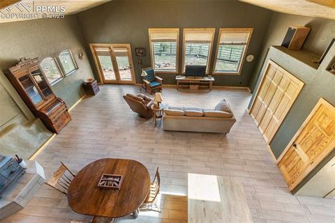 Tiny photo for 3153 Homestake Place, Florissant, CO 80816 (MLS # 3678093)