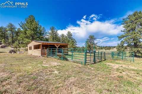Tiny photo for 3153 Homestake Place, Florissant, CO 80816 (MLS # 3678093)