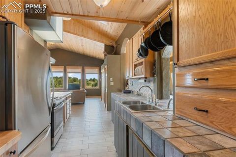 Tiny photo for 3153 Homestake Place, Florissant, CO 80816 (MLS # 3678093)