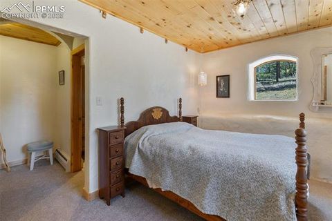 Tiny photo for 3153 Homestake Place, Florissant, CO 80816 (MLS # 3678093)