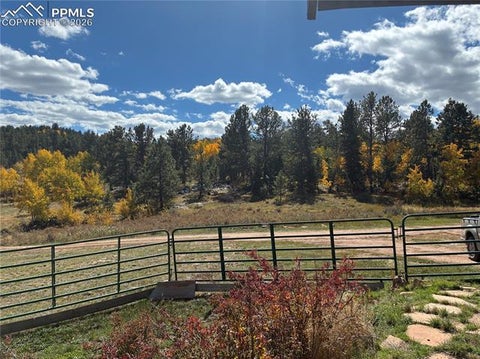 Tiny photo for 3153 Homestake Place, Florissant, CO 80816 (MLS # 3678093)