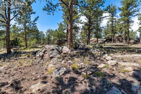 Tiny photo for 3153 Homestake Place, Florissant, CO 80816 (MLS # 3678093)