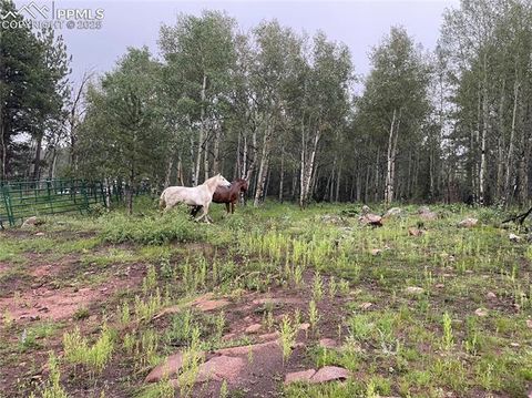 Tiny photo for 3153 Homestake Place, Florissant, CO 80816 (MLS # 3678093)