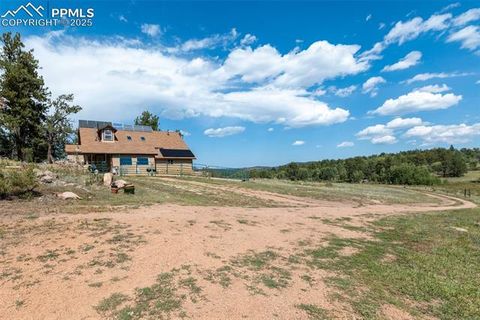 Tiny photo for 3153 Homestake Place, Florissant, CO 80816 (MLS # 3678093)