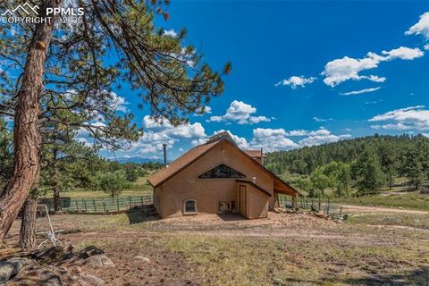 Tiny photo for 3153 Homestake Place, Florissant, CO 80816 (MLS # 3678093)