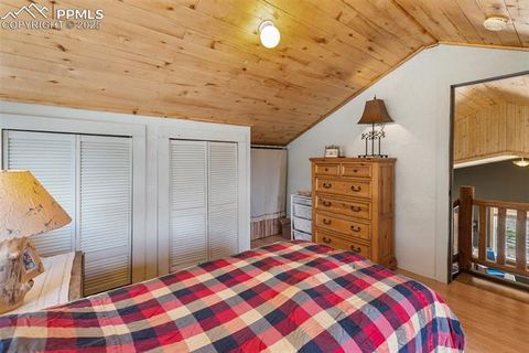 Tiny photo for 3153 Homestake Place, Florissant, CO 80816 (MLS # 3678093)
