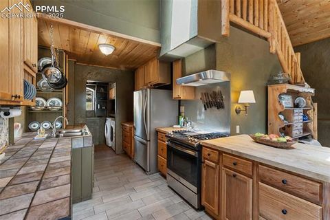 Tiny photo for 3153 Homestake Place, Florissant, CO 80816 (MLS # 3678093)