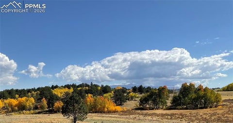 Tiny photo for 3153 Homestake Place, Florissant, CO 80816 (MLS # 3678093)