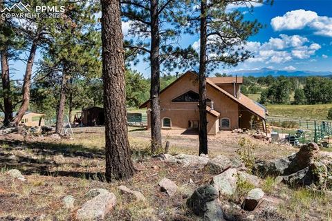 Tiny photo for 3153 Homestake Place, Florissant, CO 80816 (MLS # 3678093)