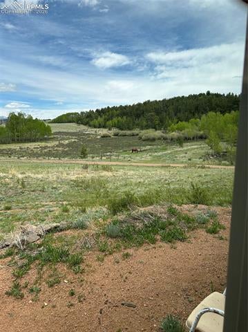 Tiny photo for 3153 Homestake Place, Florissant, CO 80816 (MLS # 3678093)