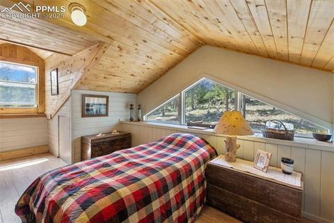Tiny photo for 3153 Homestake Place, Florissant, CO 80816 (MLS # 3678093)
