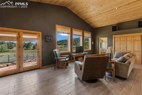 Tiny photo for 3153 Homestake Place, Florissant, CO 80816 (MLS # 3678093)