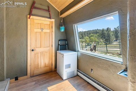 Tiny photo for 3153 Homestake Place, Florissant, CO 80816 (MLS # 3678093)