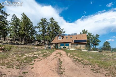 Tiny photo for 3153 Homestake Place, Florissant, CO 80816 (MLS # 3678093)