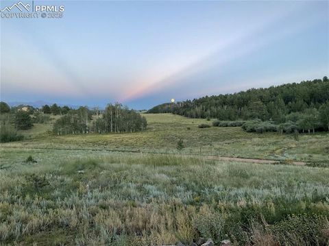 Tiny photo for 3153 Homestake Place, Florissant, CO 80816 (MLS # 3678093)