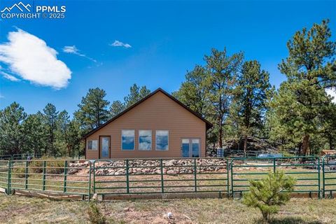 Tiny photo for 3153 Homestake Place, Florissant, CO 80816 (MLS # 3678093)