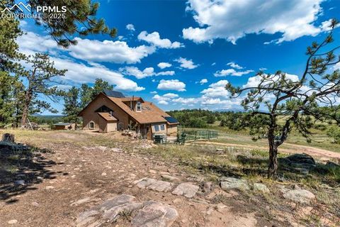Photo of 3153 Homestake Place, Florissant, CO 80816 (MLS # 3678093)