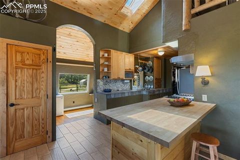 Tiny photo for 3153 Homestake Place, Florissant, CO 80816 (MLS # 3678093)
