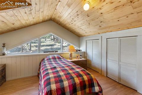 Tiny photo for 3153 Homestake Place, Florissant, CO 80816 (MLS # 3678093)