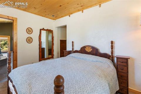Tiny photo for 3153 Homestake Place, Florissant, CO 80816 (MLS # 3678093)