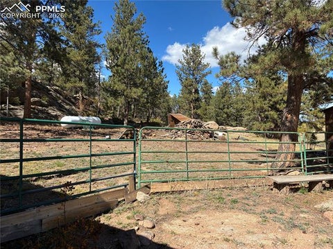 Tiny photo for 3153 Homestake Place, Florissant, CO 80816 (MLS # 3678093)