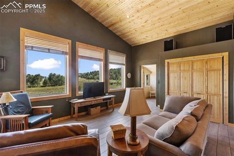 Tiny photo for 3153 Homestake Place, Florissant, CO 80816 (MLS # 3678093)