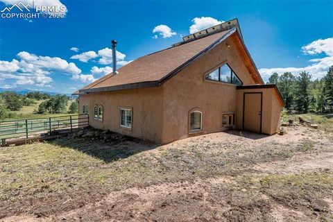 Tiny photo for 3153 Homestake Place, Florissant, CO 80816 (MLS # 3678093)