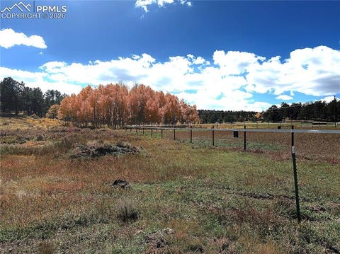 Tiny photo for 3153 Homestake Place, Florissant, CO 80816 (MLS # 3678093)