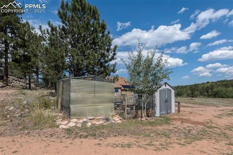 Tiny photo for 3153 Homestake Place, Florissant, CO 80816 (MLS # 3678093)