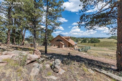 Tiny photo for 3153 Homestake Place, Florissant, CO 80816 (MLS # 3678093)