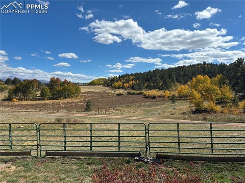 Tiny photo for 3153 Homestake Place, Florissant, CO 80816 (MLS # 3678093)