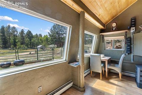 Tiny photo for 3153 Homestake Place, Florissant, CO 80816 (MLS # 3678093)
