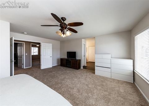 Tiny photo for 4818 Turning Leaf Way, Colorado Springs, CO 80922 (MLS # 8624060)