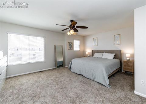 Tiny photo for 4818 Turning Leaf Way, Colorado Springs, CO 80922 (MLS # 8624060)