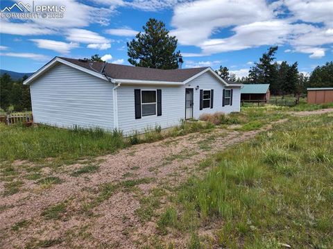 985 BASSWOOD Lane Canon City CO 81212