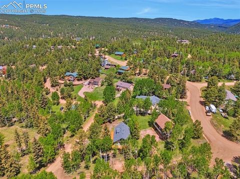 Tiny photo for 21 Valley Lane, Woodland Park, CO 80863 (MLS # 3590956)