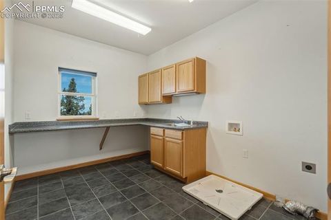 Tiny photo for 76 Ute Creek Drive, Florissant, CO 80816 (MLS # 9024037)