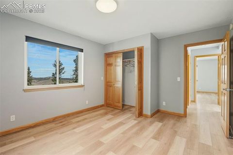 Tiny photo for 76 Ute Creek Drive, Florissant, CO 80816 (MLS # 9024037)