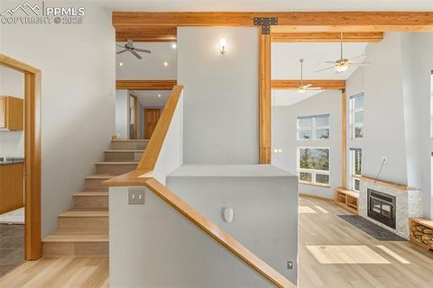 Tiny photo for 76 Ute Creek Drive, Florissant, CO 80816 (MLS # 9024037)