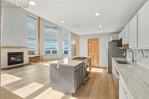 Tiny photo for 76 Ute Creek Drive, Florissant, CO 80816 (MLS # 9024037)