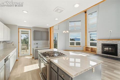 Tiny photo for 76 Ute Creek Drive, Florissant, CO 80816 (MLS # 9024037)