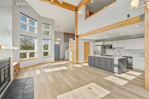 Tiny photo for 76 Ute Creek Drive, Florissant, CO 80816 (MLS # 9024037)