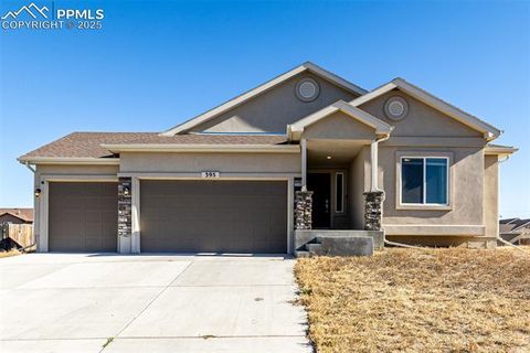 Photo of 395 W Coral Drive, Pueblo, CO 81007 (MLS # 3553092)