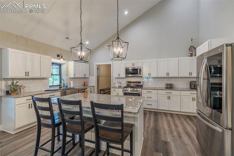 Tiny photo for 412 Obsidian Drive, Florissant, CO 80816 (MLS # 8975683)