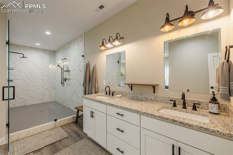 Tiny photo for 412 Obsidian Drive, Florissant, CO 80816 (MLS # 8975683)