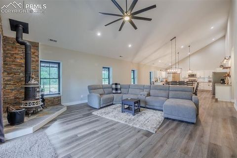 Tiny photo for 412 Obsidian Drive, Florissant, CO 80816 (MLS # 8975683)